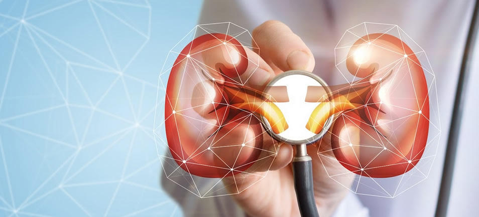 chronickidneydiseaseoverviewbanner Home Dialysis