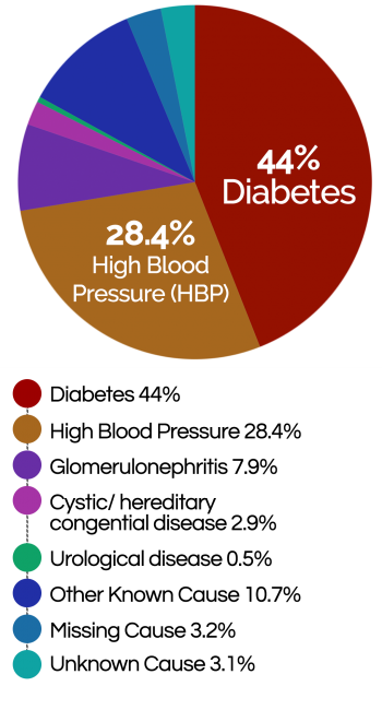 kidney failure chart